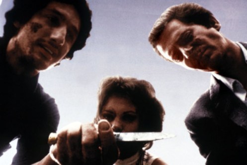 the last house on the left 1972 pic