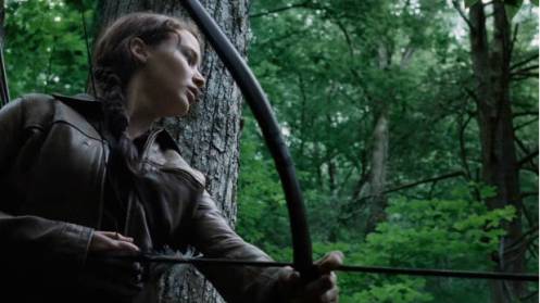 687883034_1768085723001_the-hunger-games-unseen