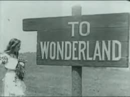 wonderland